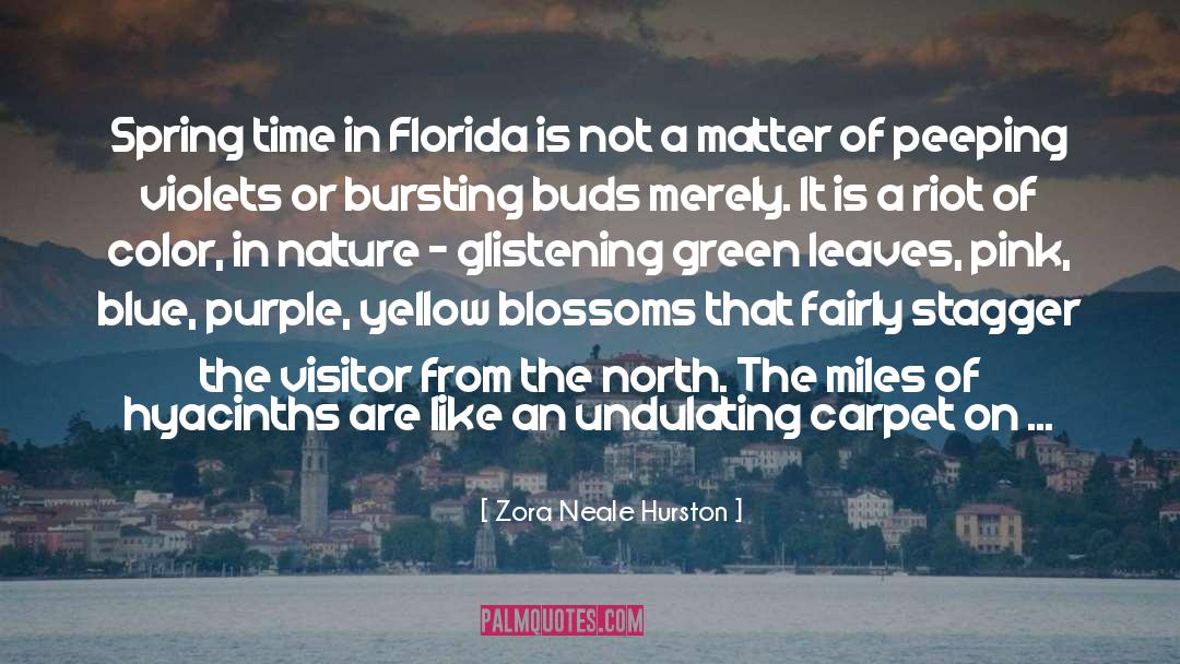 A Carpet Of Purple Flowers quotes by Zora Neale Hurston