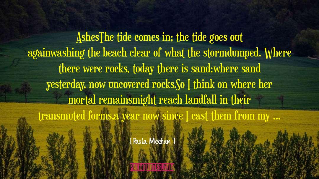 A Cast Of Stones quotes by Paula Meehan