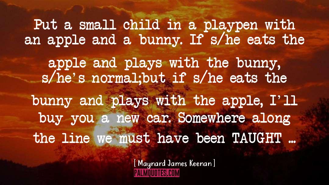 A Child S Eye View quotes by Maynard James Keenan