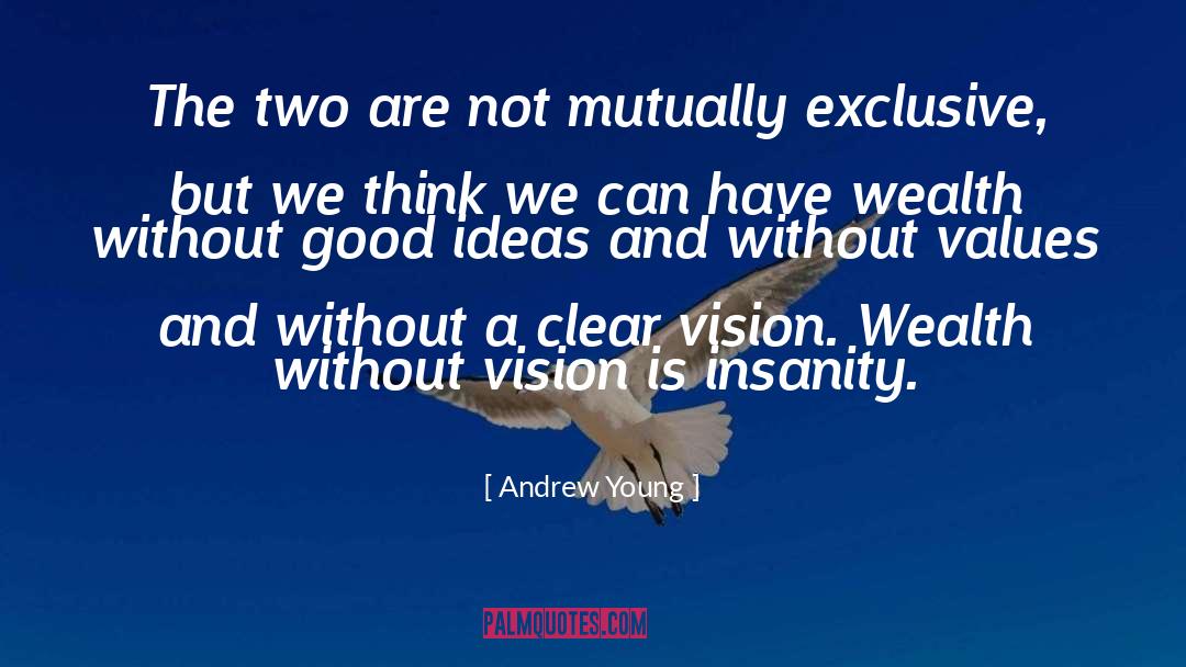 A Clear Vision quotes by Andrew Young