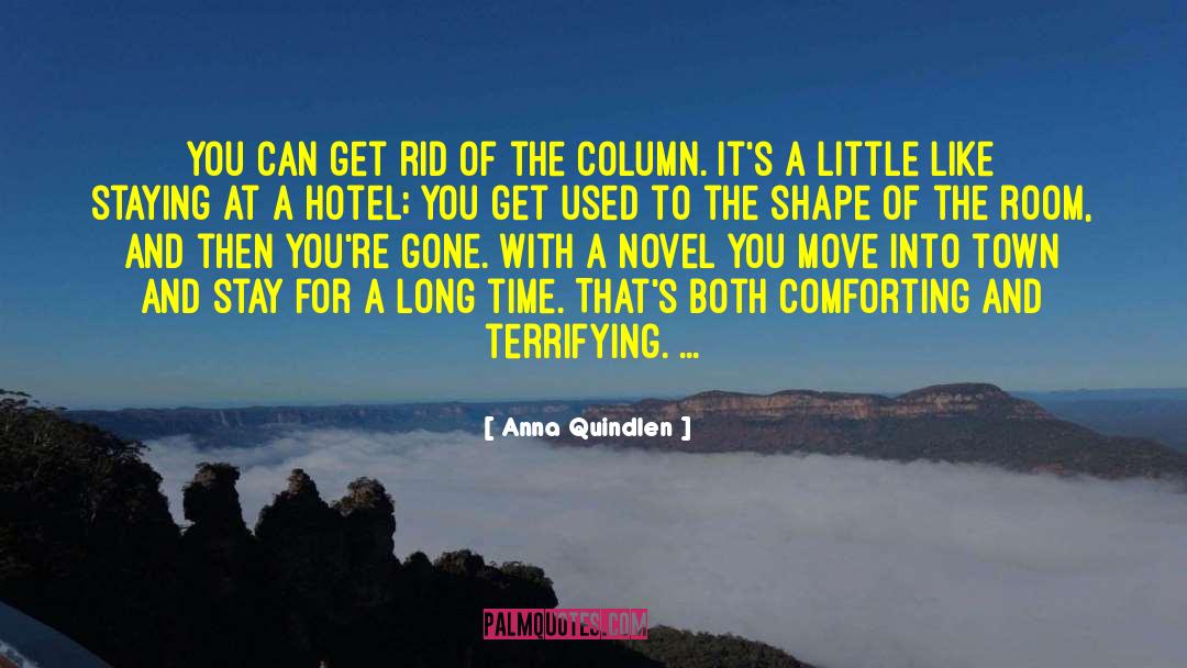 A Column Of Fire quotes by Anna Quindlen