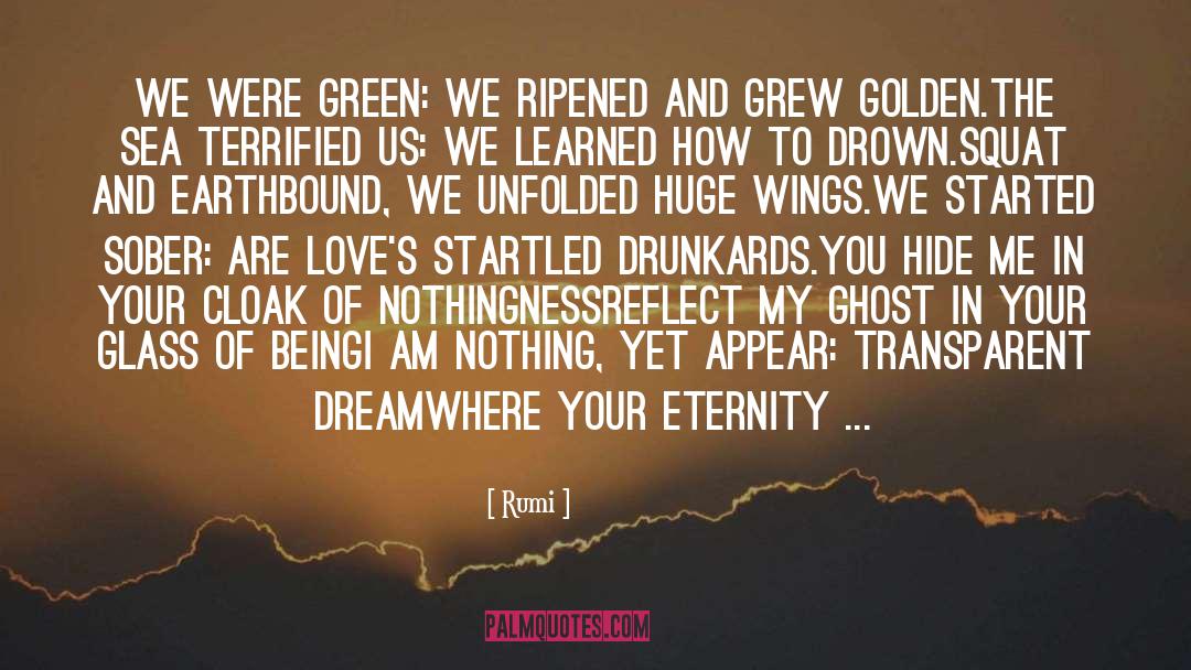 A Court Of Wings And Ruin quotes by Rumi