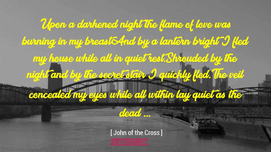 A Dark Champion quotes by John Of The Cross