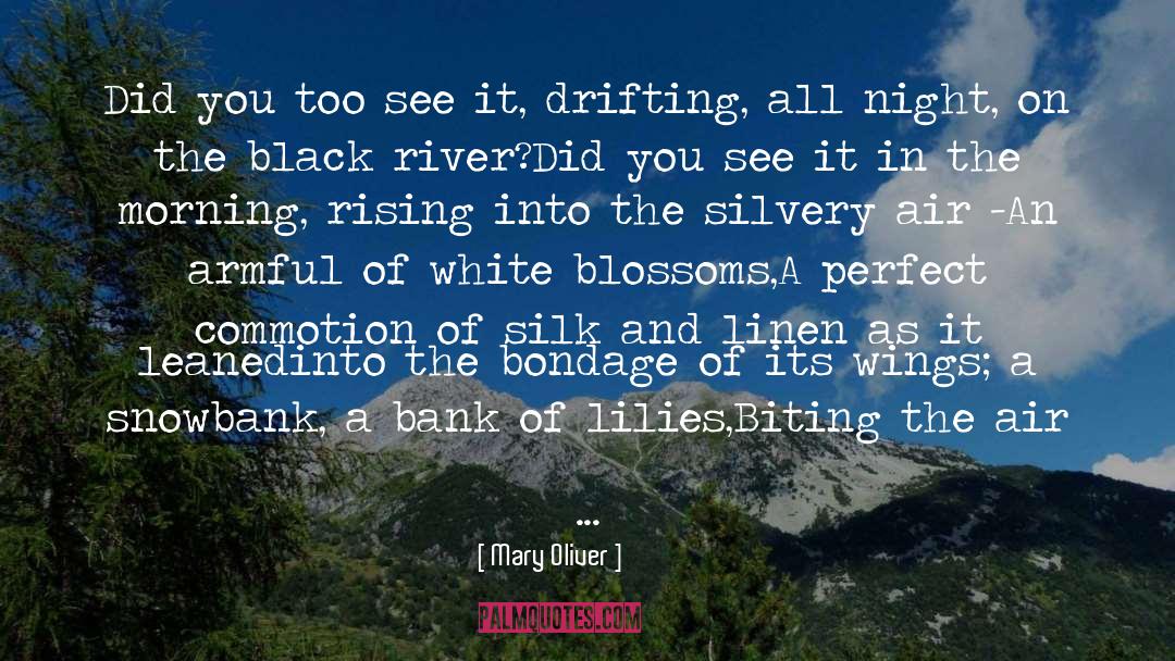 A Dark Champion quotes by Mary Oliver