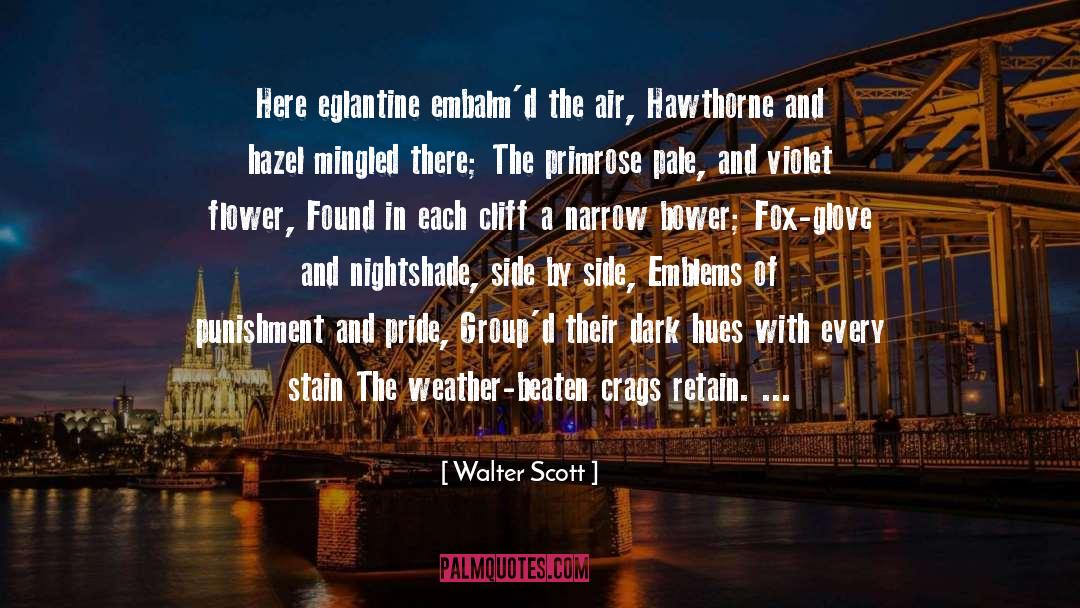 A Dark Champion quotes by Walter Scott