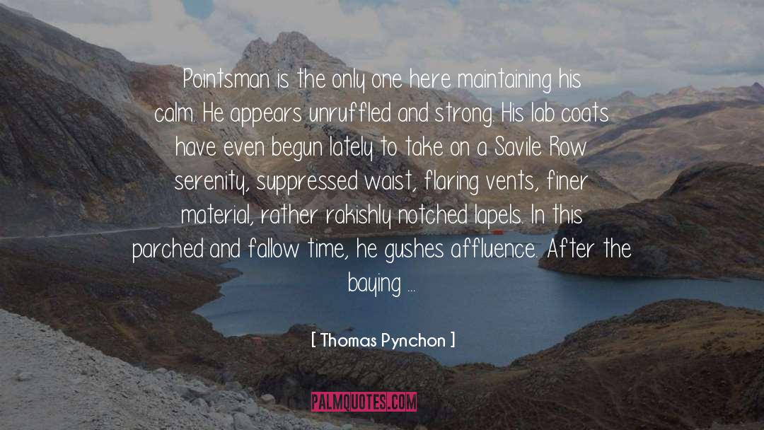 A Day S Work Praying quotes by Thomas Pynchon