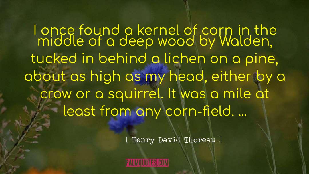 A Deep Fried Korean Thanksgiving quotes by Henry David Thoreau