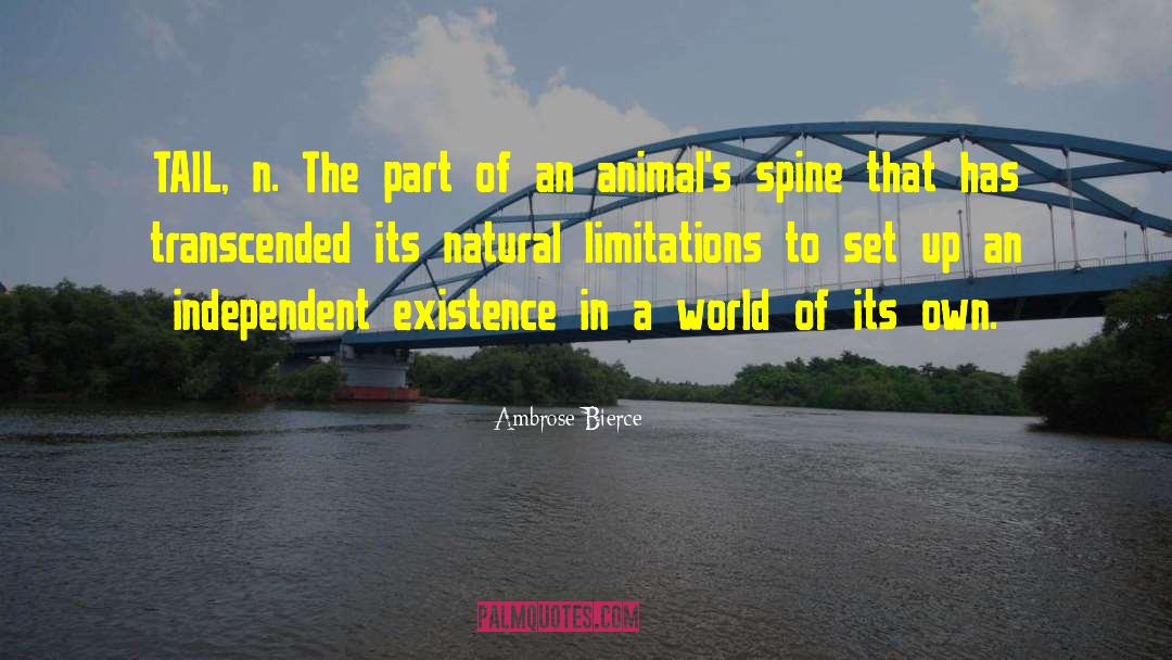 A Devine Set Up quotes by Ambrose Bierce