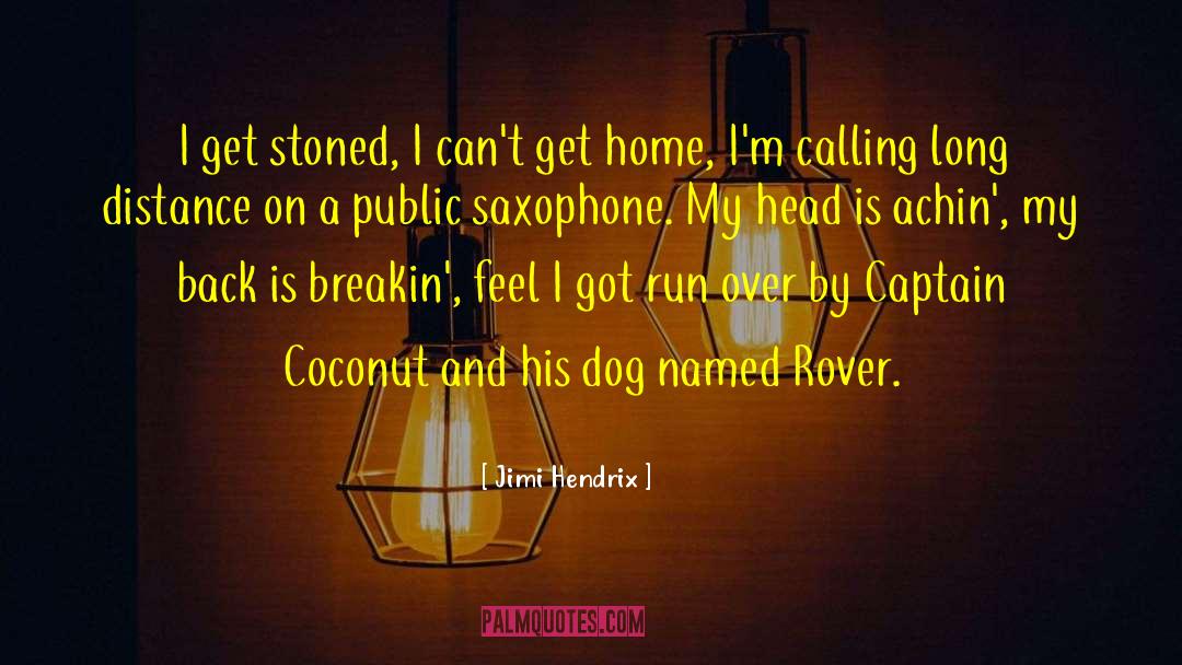 A Dog Named Leaf quotes by Jimi Hendrix