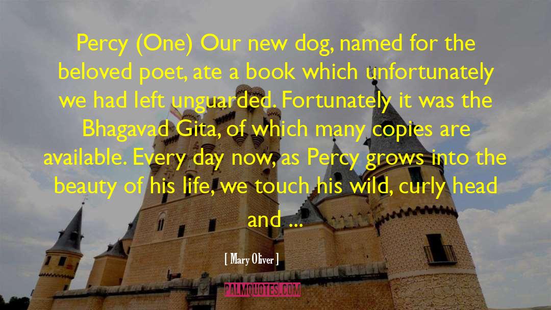 A Dog Named Leaf quotes by Mary Oliver