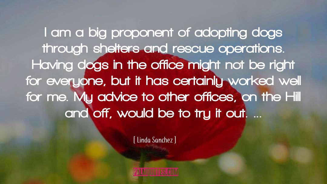 A Dogs View quotes by Linda Sanchez