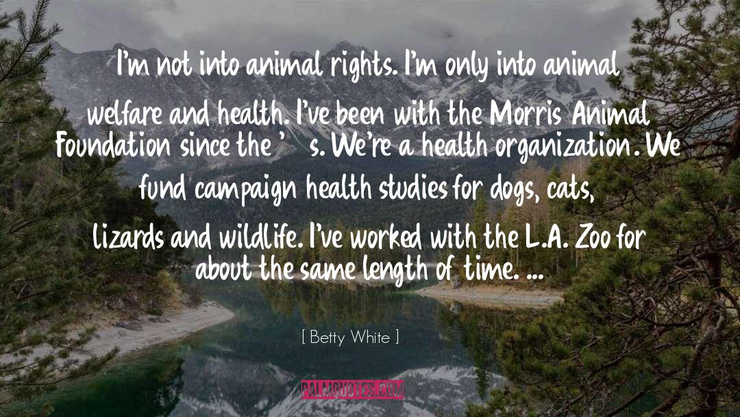 A Dogs View quotes by Betty White