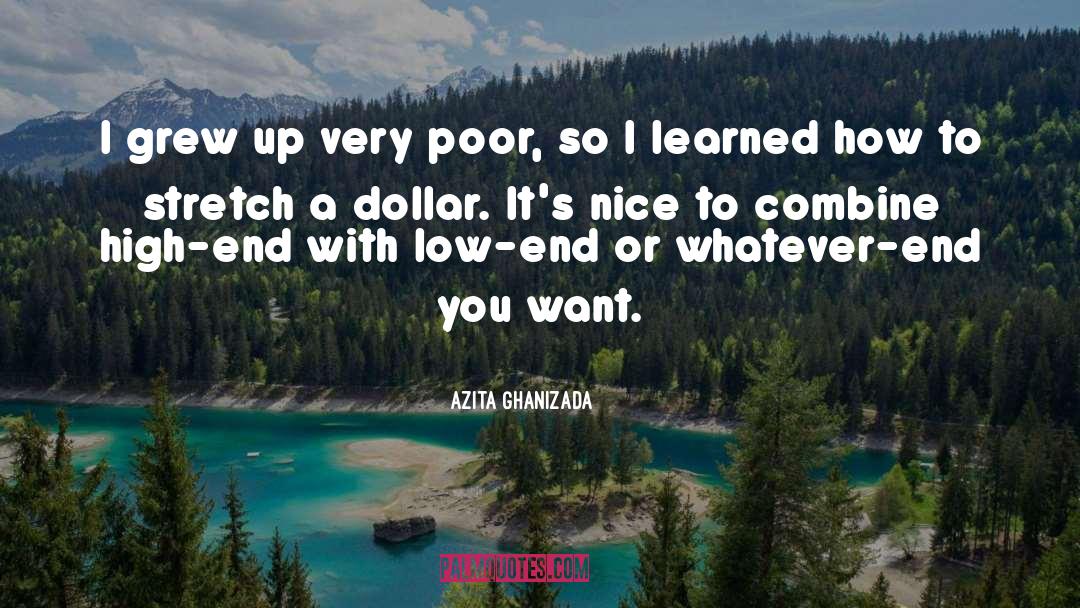 A Dollar quotes by Azita Ghanizada