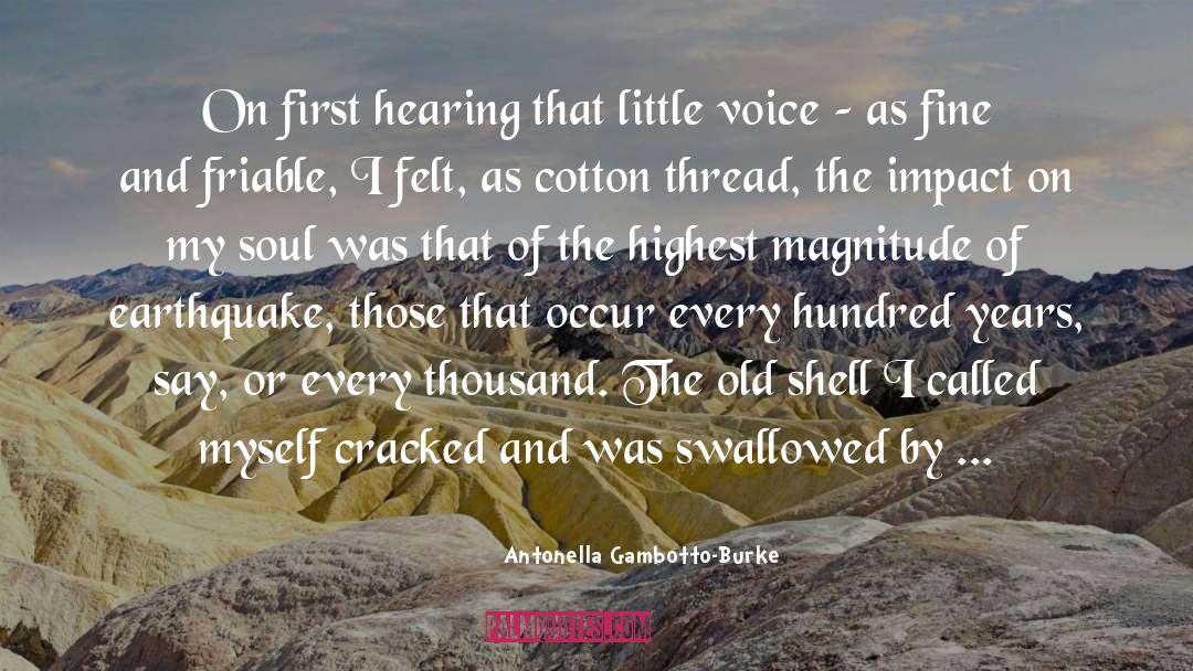 A Earthquake quotes by Antonella Gambotto-Burke