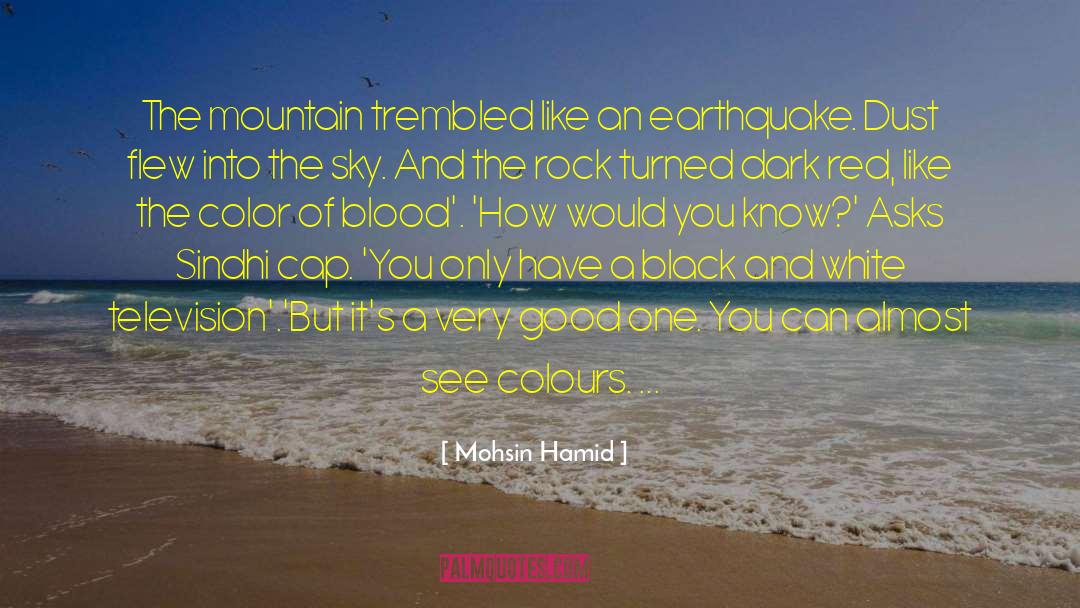 A Earthquake quotes by Mohsin Hamid