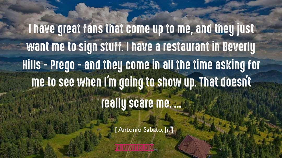 A Fans Notes quotes by Antonio Sabato, Jr.