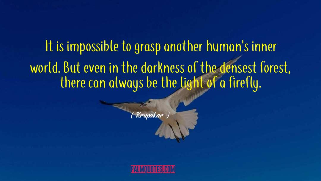 A Firefly To Steer By quotes by Krupakar