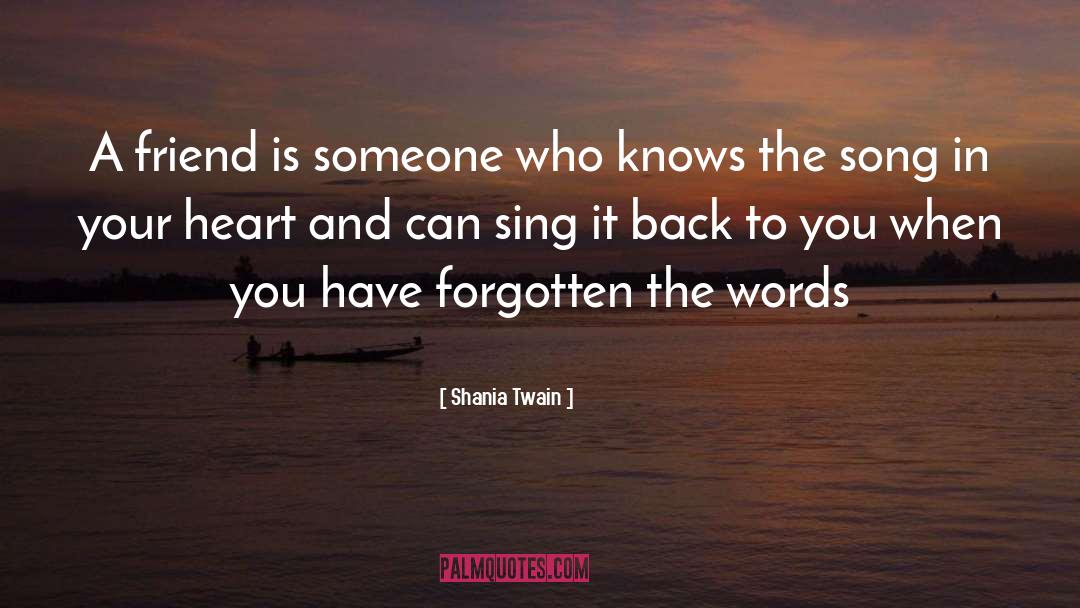 A Friend Is Someone Who Knows The Song quotes by Shania Twain