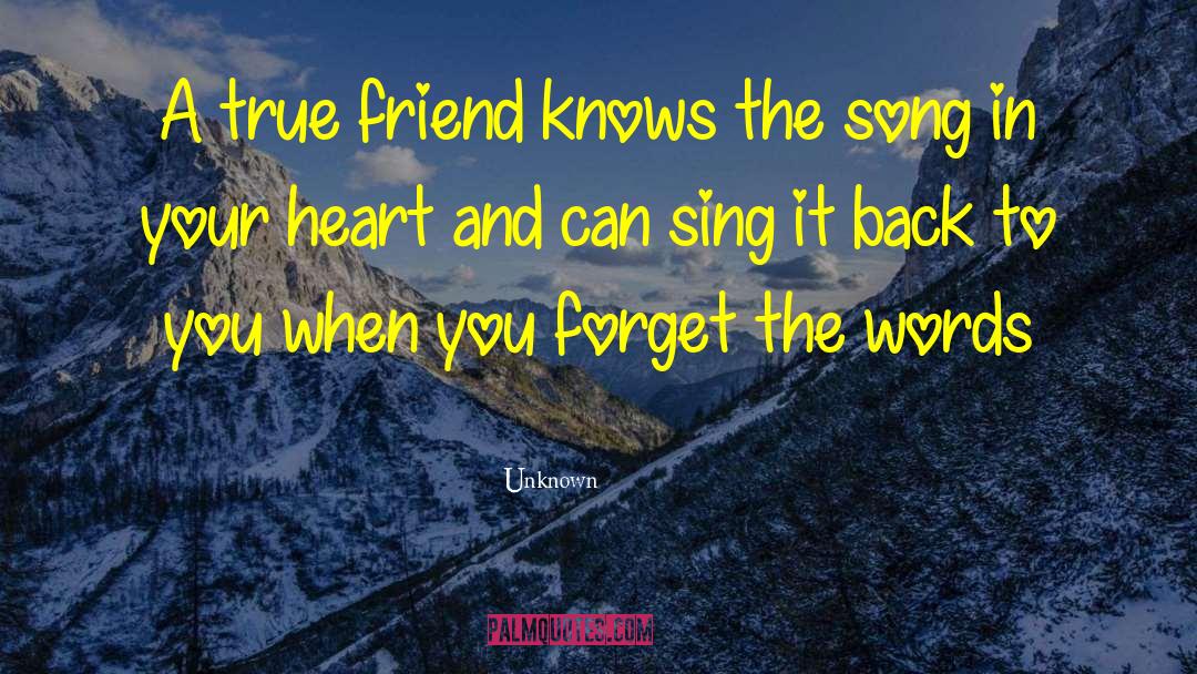 A Friend Is Someone Who Knows The Song quotes by Unknown