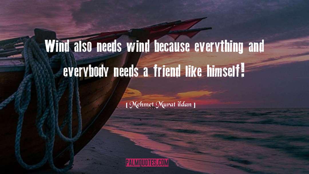 A Friendship Day quotes by Mehmet Murat Ildan