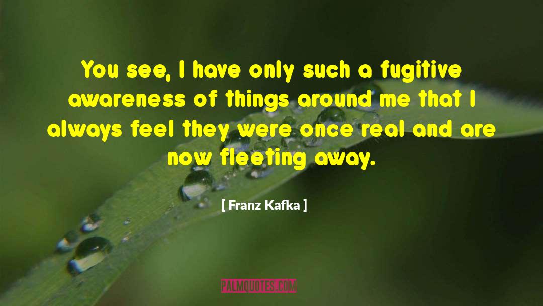 A Fugitive quotes by Franz Kafka
