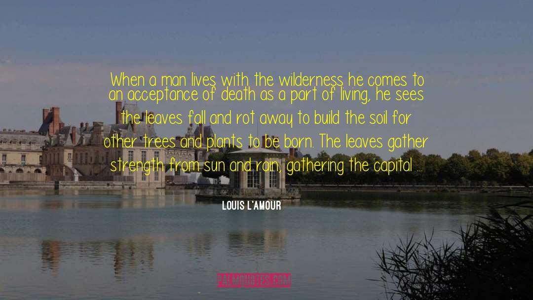 A Gathering Of Shadows quotes by Louis L'Amour