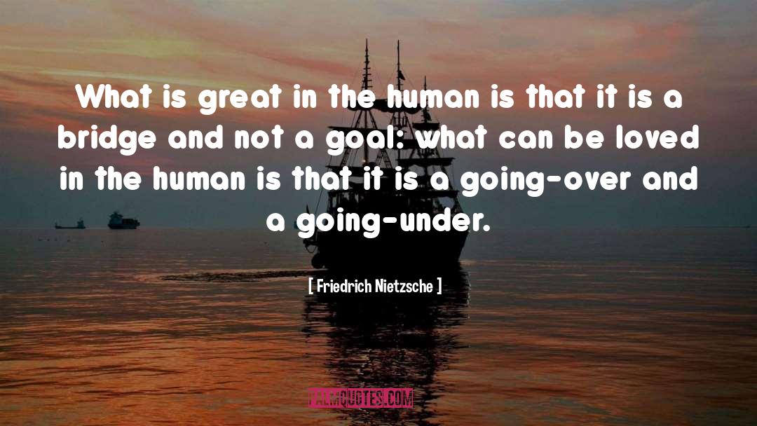 A Goal quotes by Friedrich Nietzsche