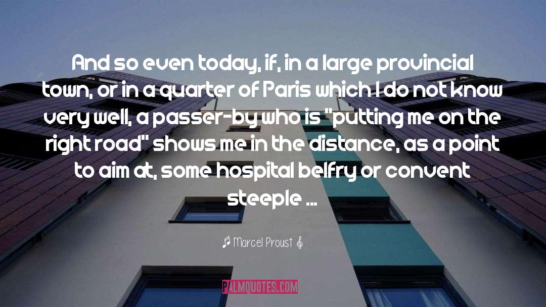 A Goal Should Make You Excited quotes by Marcel Proust