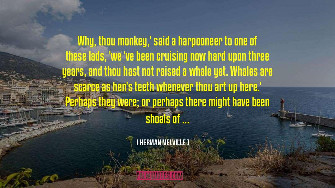 A God In Ruins quotes by Herman Melville