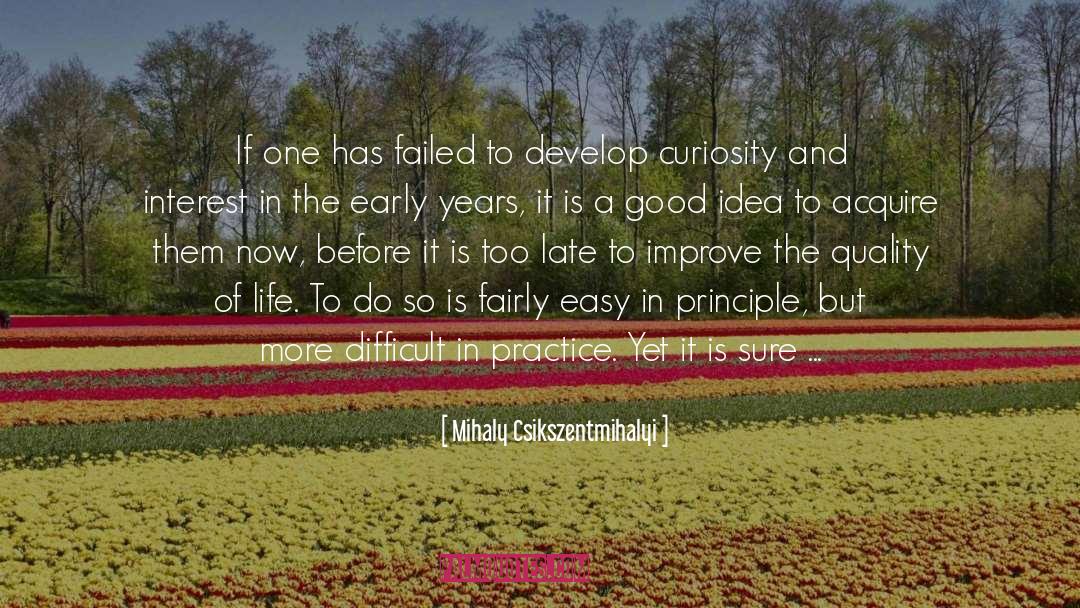 A Good Idea quotes by Mihaly Csikszentmihalyi