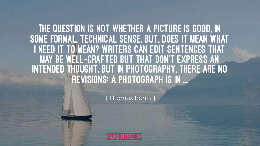 A Good Picture quotes by Thomas Roma