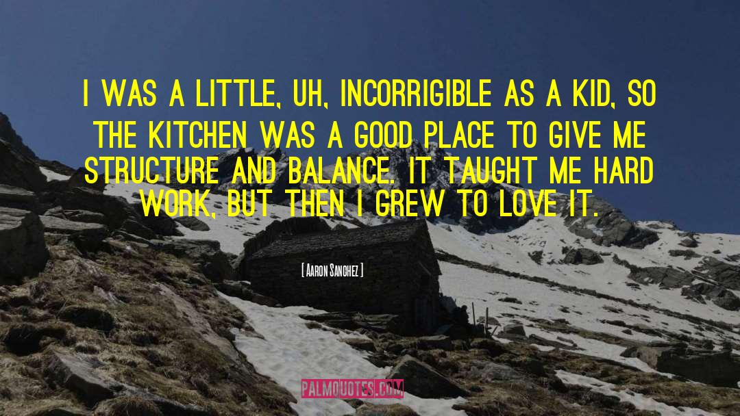 A Good Place quotes by Aaron Sanchez