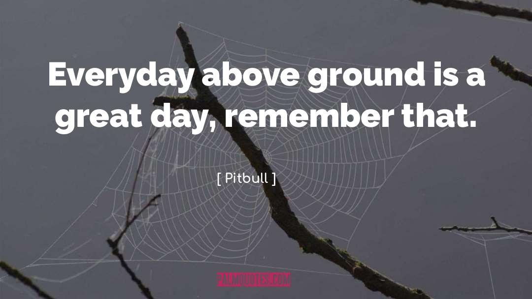 A Great Day quotes by Pitbull