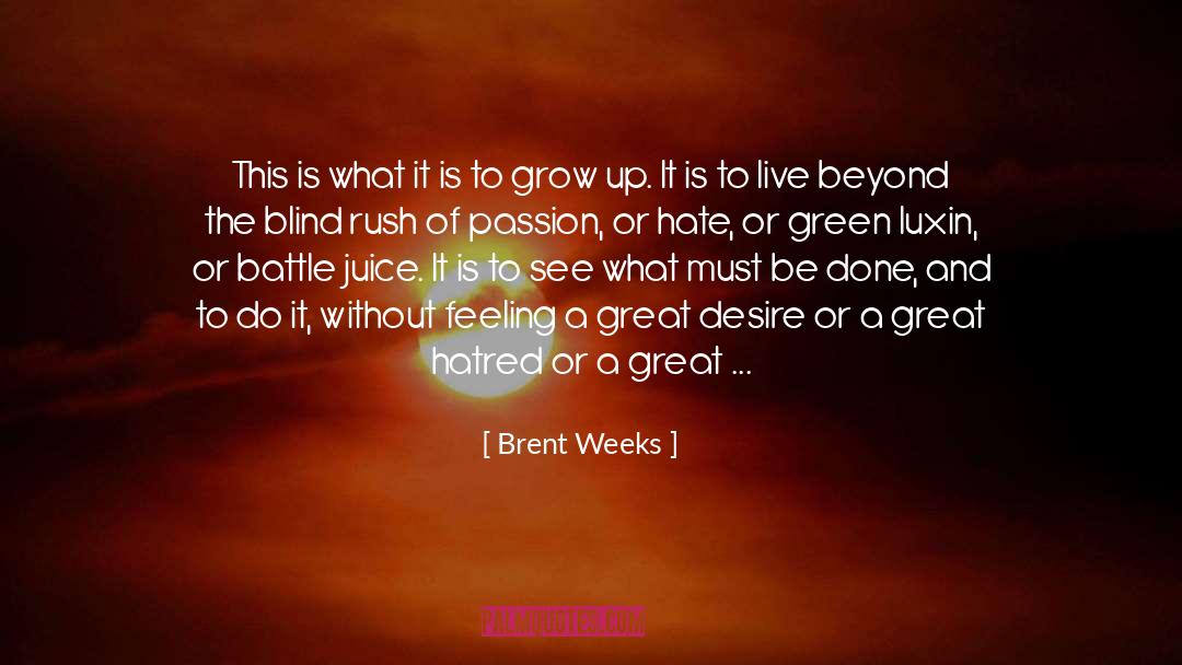 A Great Love quotes by Brent Weeks