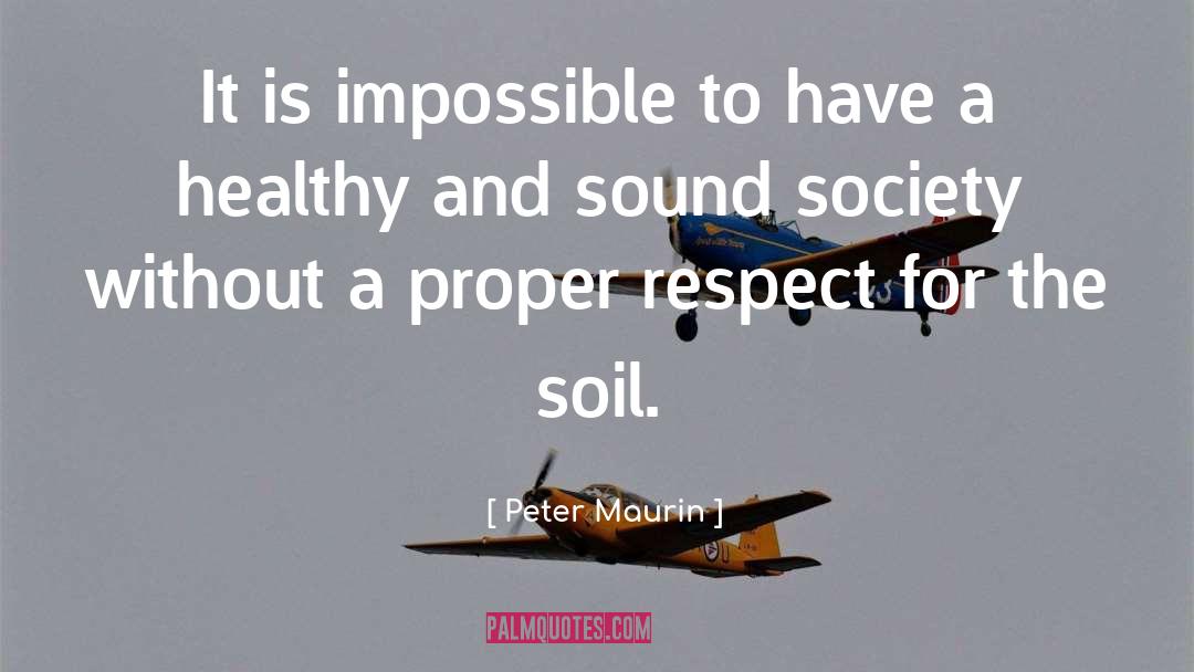 A Healthy Environment quotes by Peter Maurin
