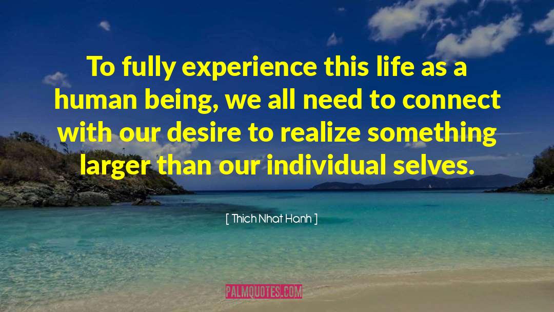 A Human Experience quotes by Thich Nhat Hanh