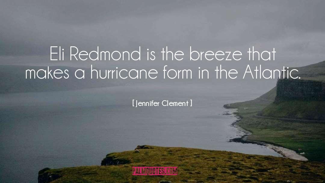 A Hurricane quotes by Jennifer Clement