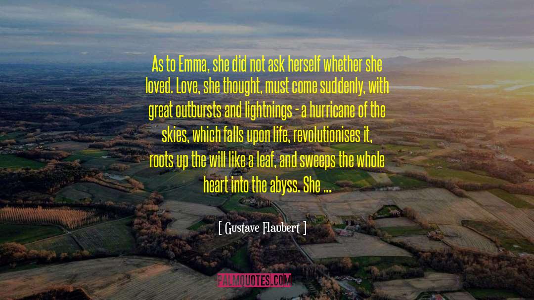 A Hurricane quotes by Gustave Flaubert