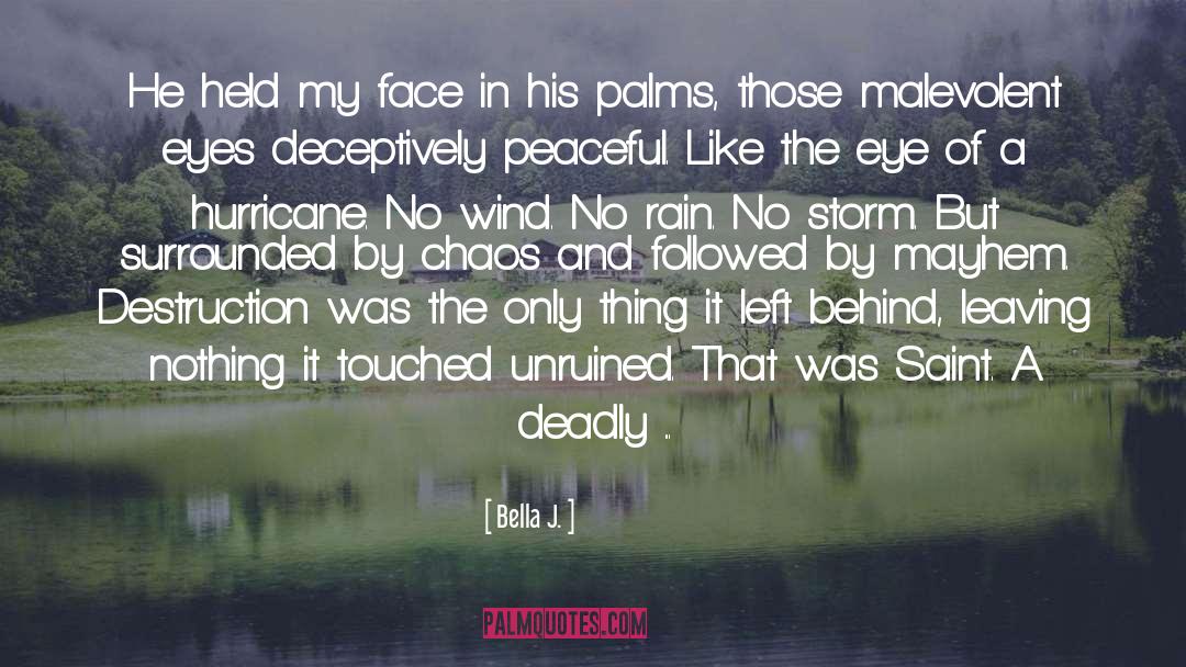 A Hurricane quotes by Bella J.