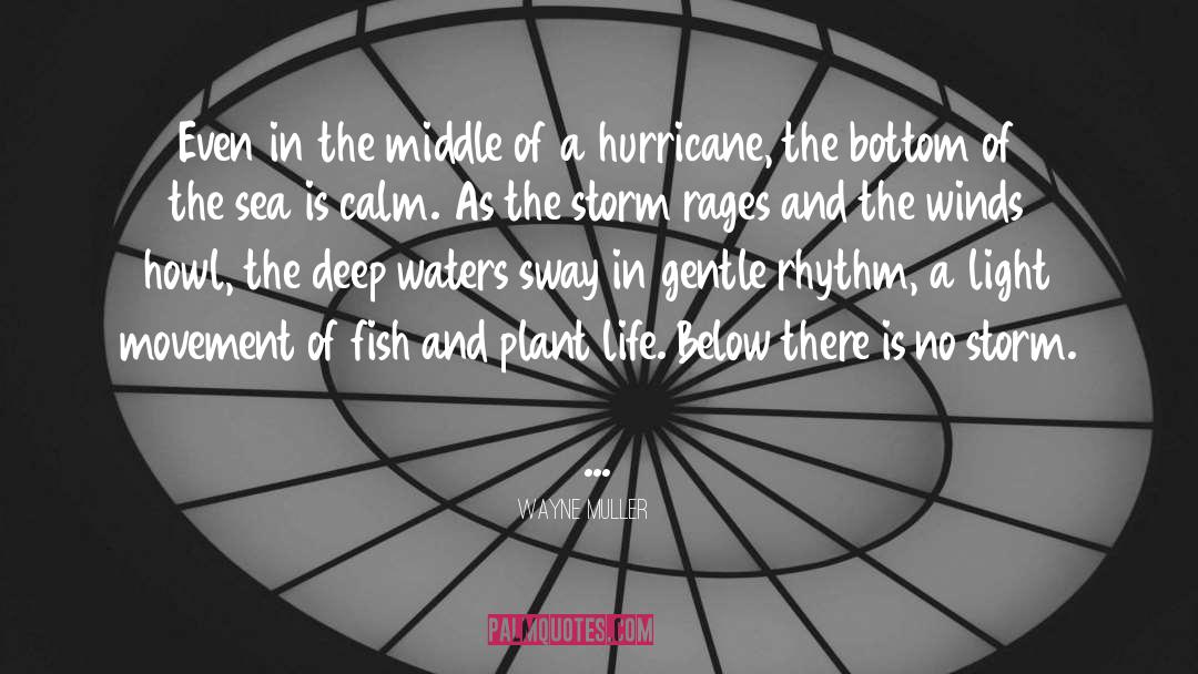 A Hurricane quotes by Wayne Muller