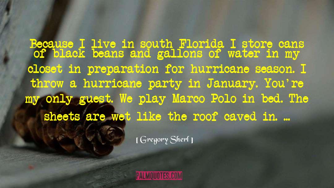 A Hurricane quotes by Gregory Sherl