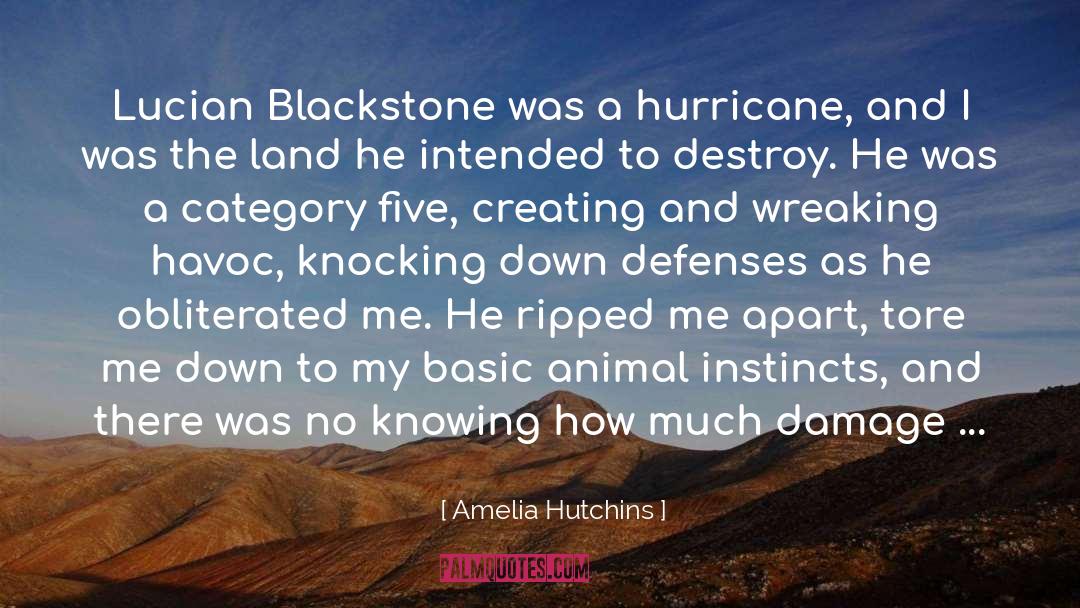 A Hurricane quotes by Amelia Hutchins