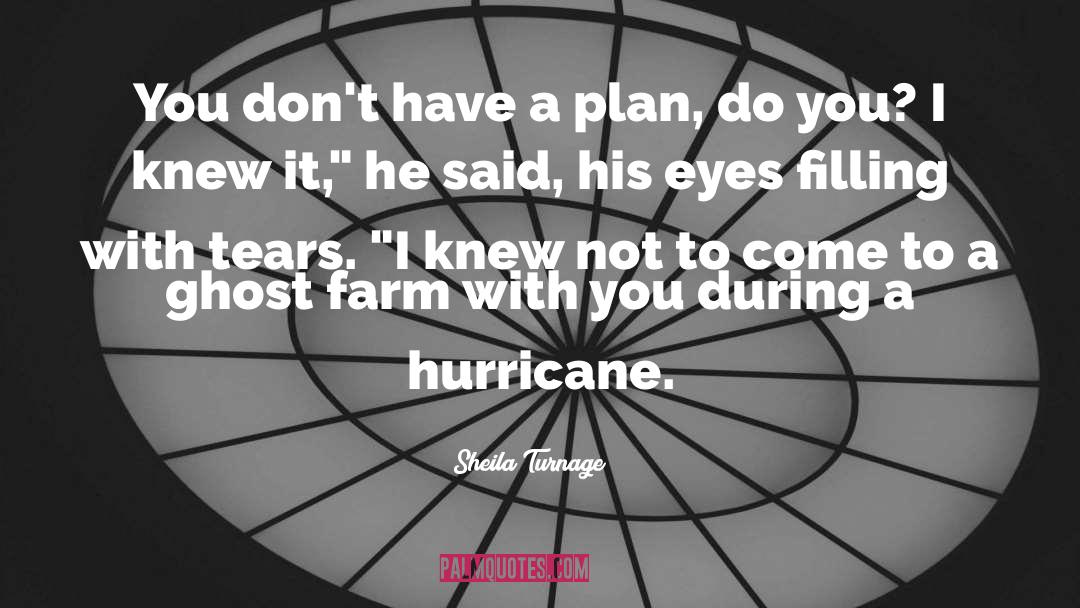 A Hurricane quotes by Sheila Turnage