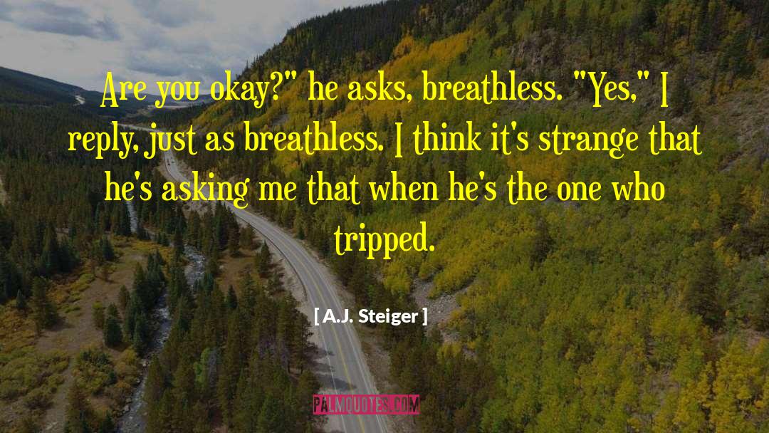 A J Ayer quotes by A.J. Steiger
