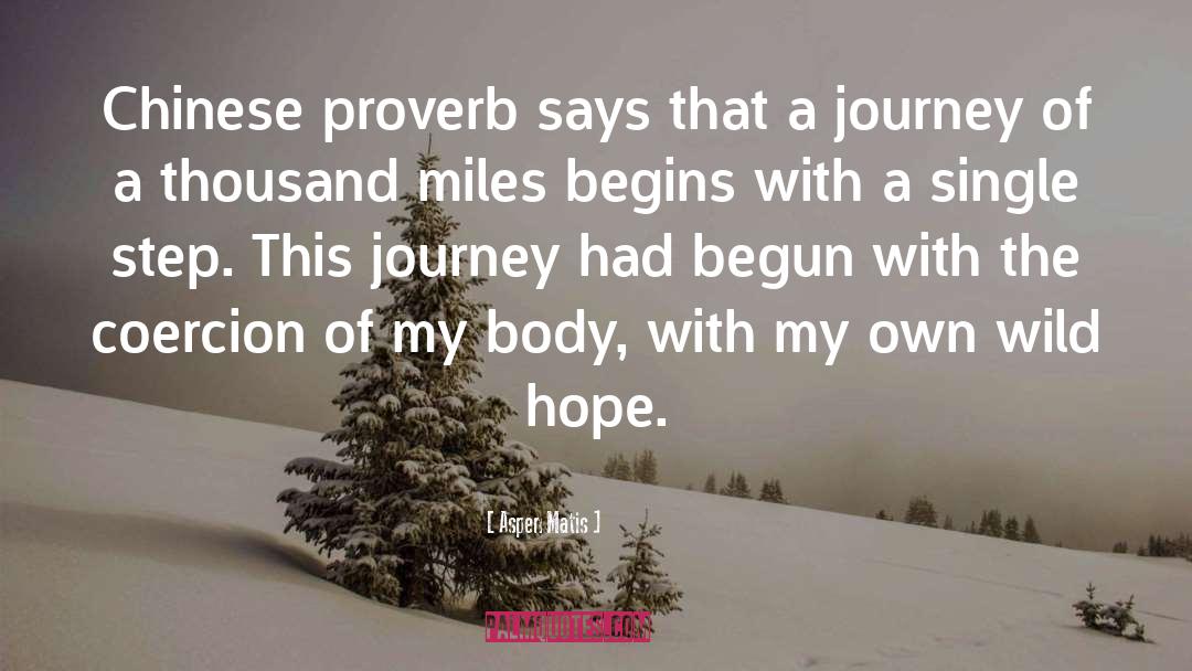 A Journey quotes by Aspen Matis