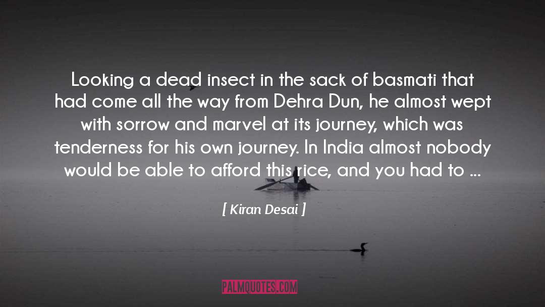 A Journey To The End quotes by Kiran Desai