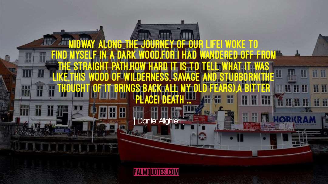 A Journey To The End quotes by Dante Alighieri