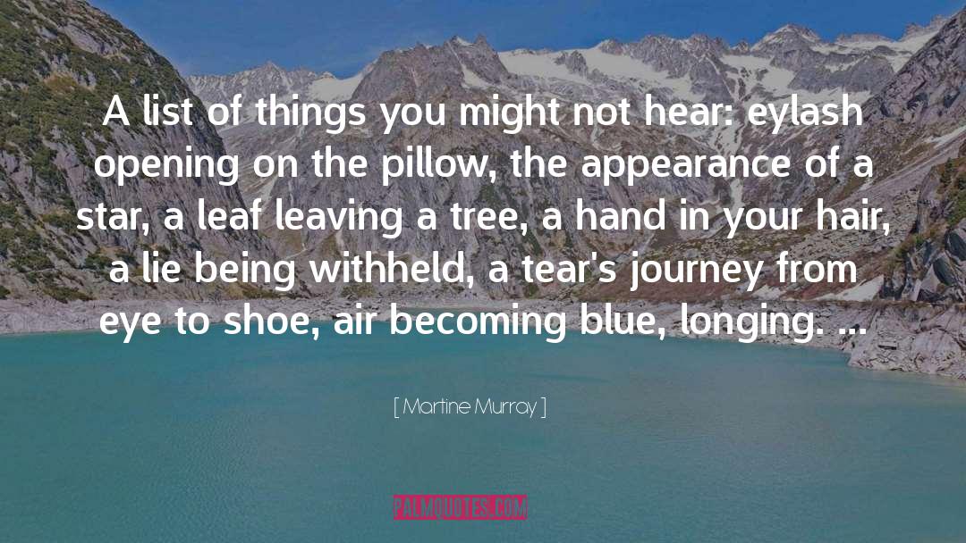 A Journey To The End quotes by Martine Murray