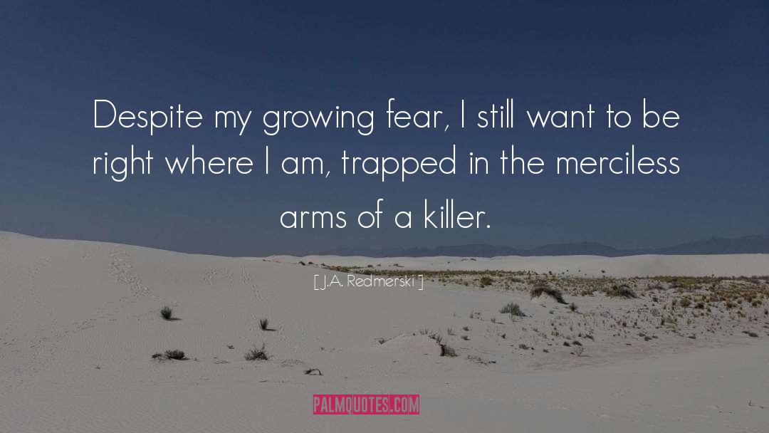 A Killer quotes by J.A. Redmerski