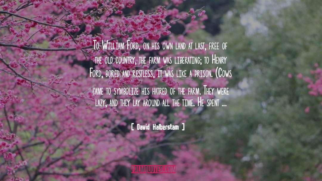 A Liberating Approach quotes by David Halberstam